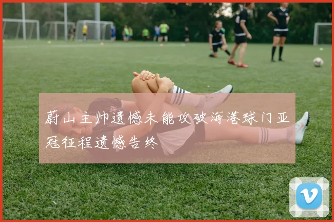 蔚山主帅遗憾未能攻破海港球门亚冠征程遗憾告终